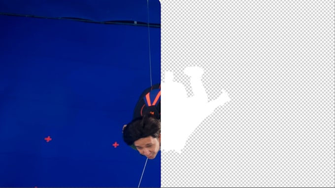 rotoscope or remove background on your video