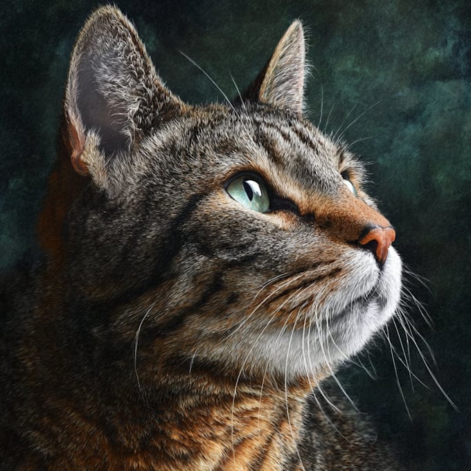 do a custom pet portrait, dog portrait, cat portrait