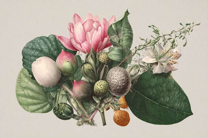 design best botanical illustration