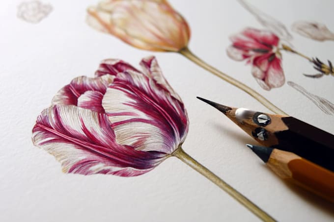 create beautiful hand drawn botanical boho logo