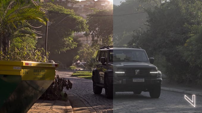 perform professional video color correction and grading