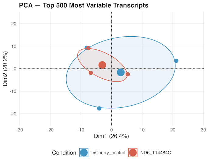 analyze your bulk rnaseq data with publication ready figures