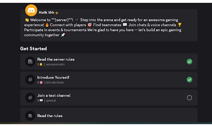 build a custom discord server setup with bots and roles