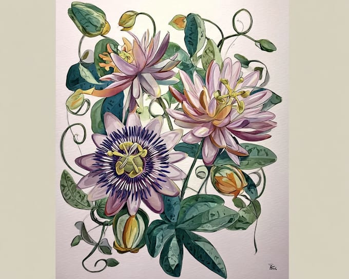 do watercolor illustrations for your design