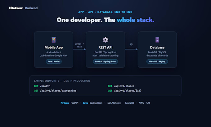 build your rest api backend in spring boot or fastapi