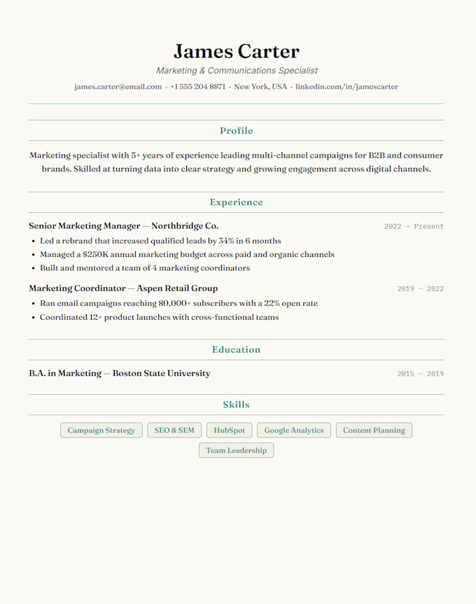 create a professional CV  for your industry and job offer