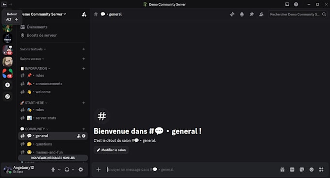 set up a professional discord server with bots