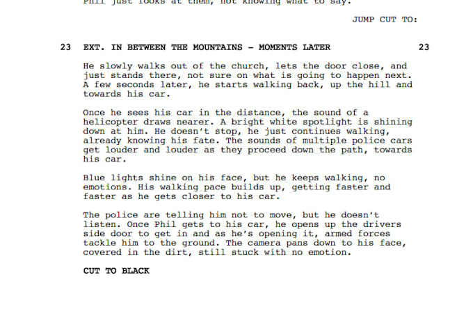 proofread, edit and polish your screenplay or script