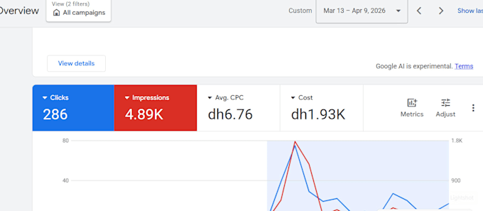 be your google ads manager and ppc specialist