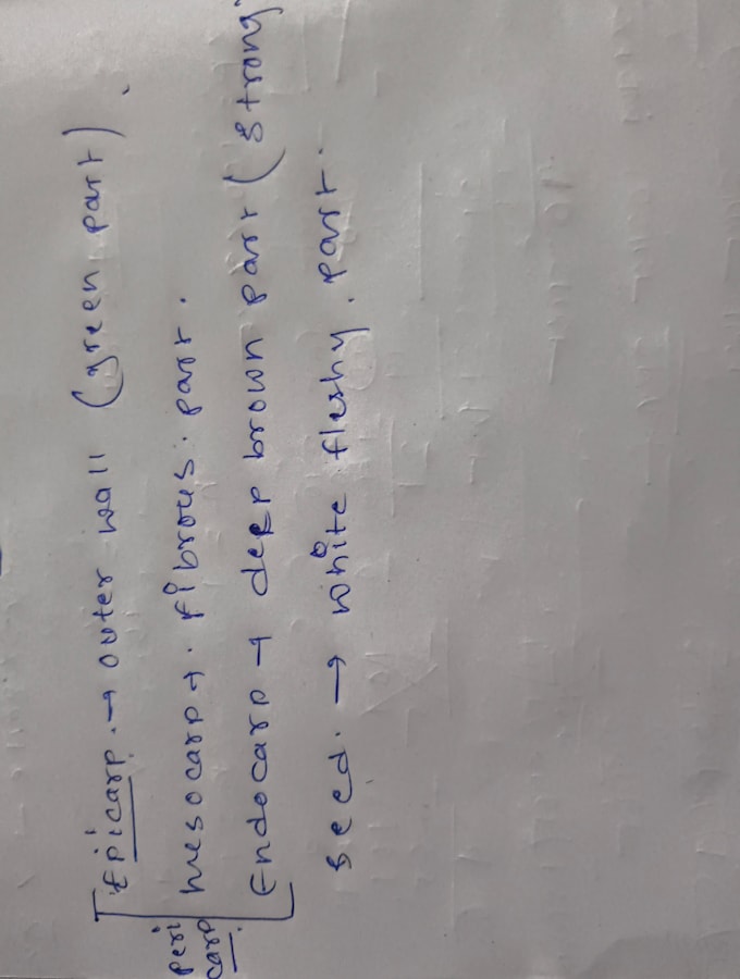 provide smooth,neat and clean handwriting