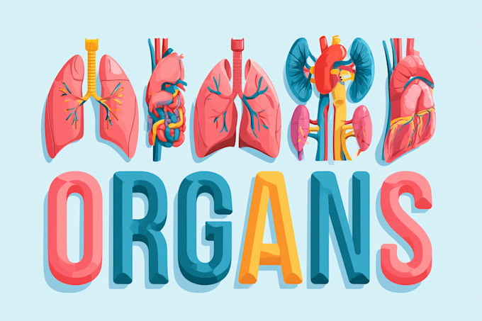 create anatomy, medical, and scientific illustrations
