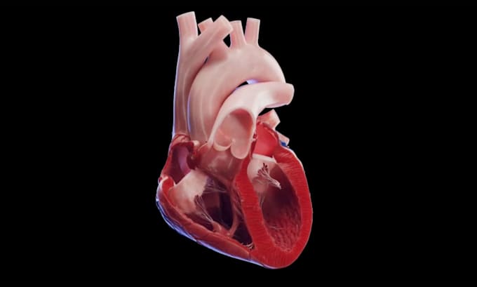 create realistic 3d medical animation medical device surgery explainer video