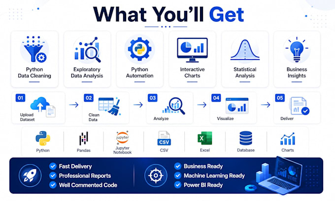 perform python data analysis, cleaning, and visualization professionally