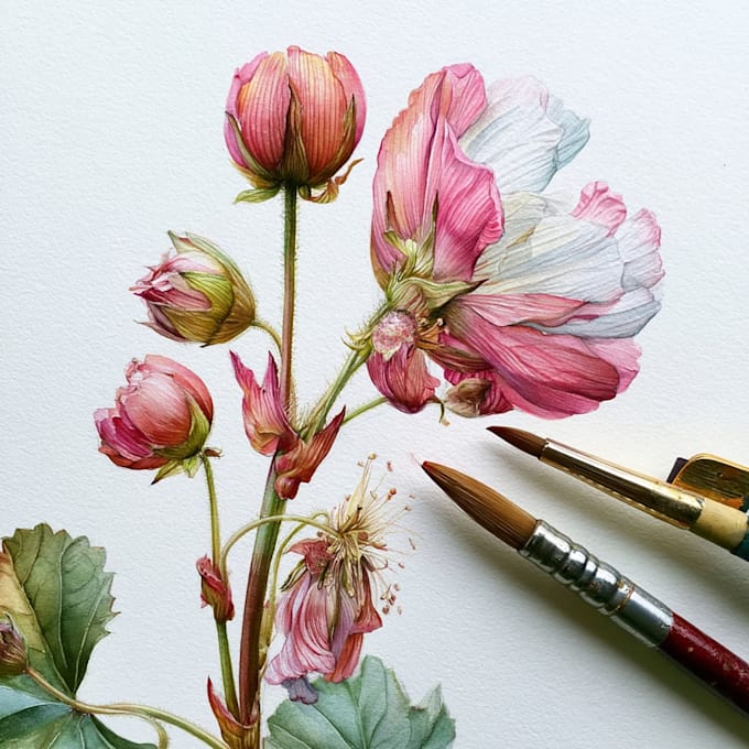 draw a botanical illustration