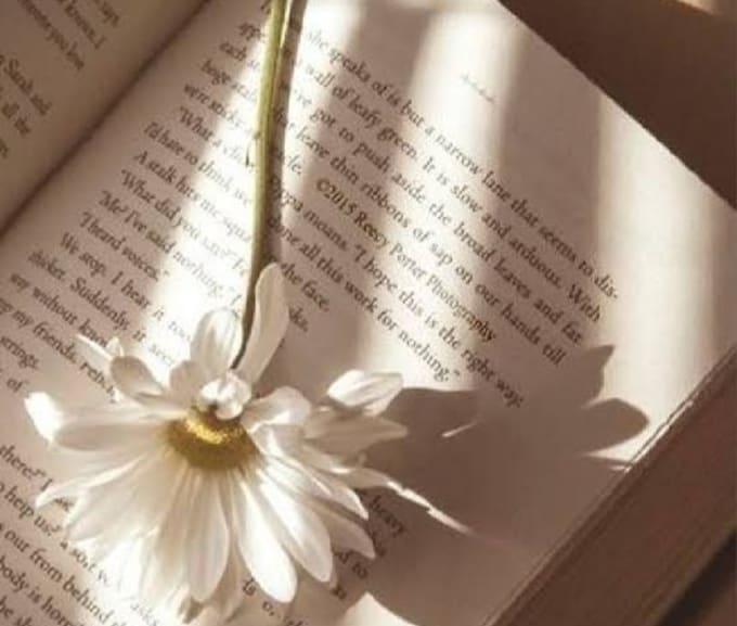 write a binge worthy and emotional web series screenplay
