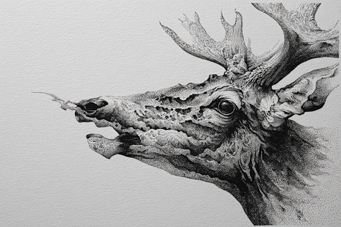 make pen and ink illustrations