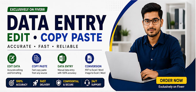 do accurate data entry, excel data entry and web research