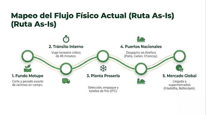 diseñare presentaciones profesionales en canva para startups
