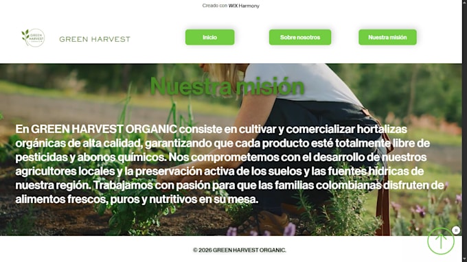 desing a profesional wix website whith whatsapp button
