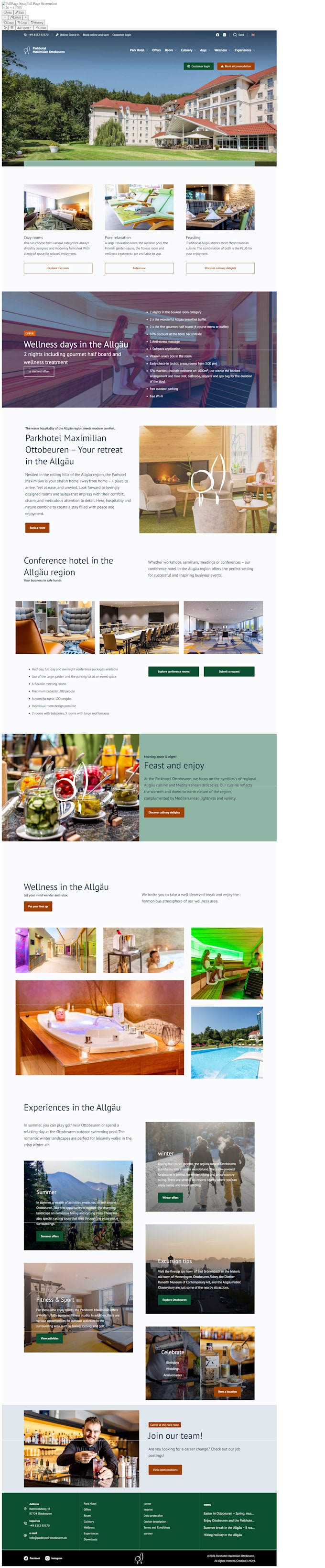 develop a professional wordpress website