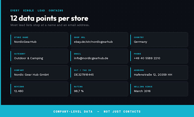 build verified ebay and amazon seller leads with full company data
