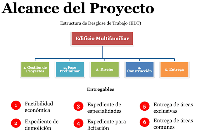provide project management, ms project schedules, and risk controls