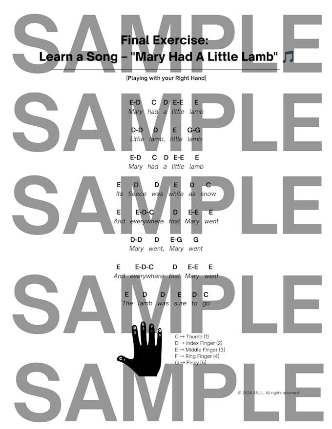 provide lesson 3 for beginner piano as a PDF worksheet