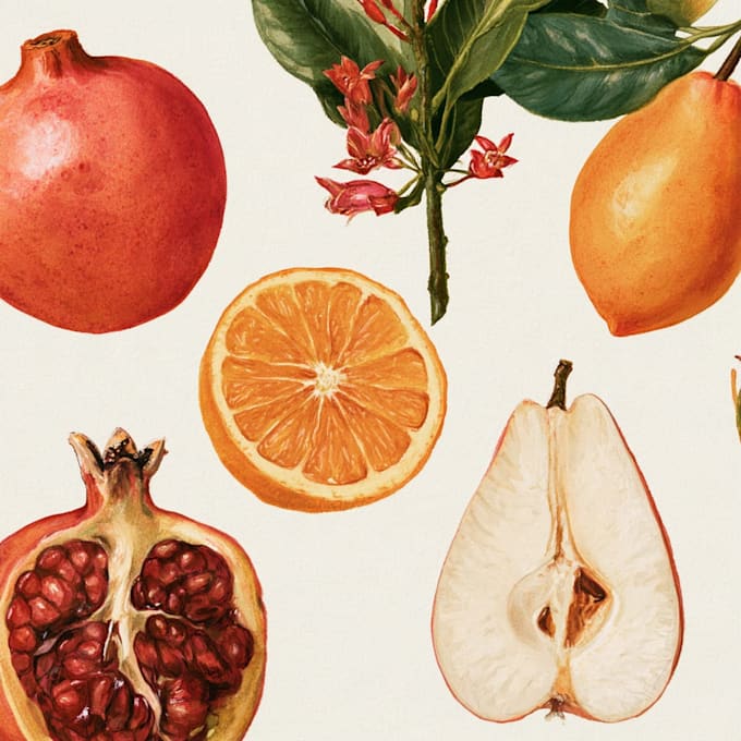 illustrate best botanical illustration