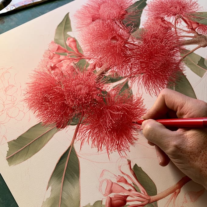illustrate best botanical illustration