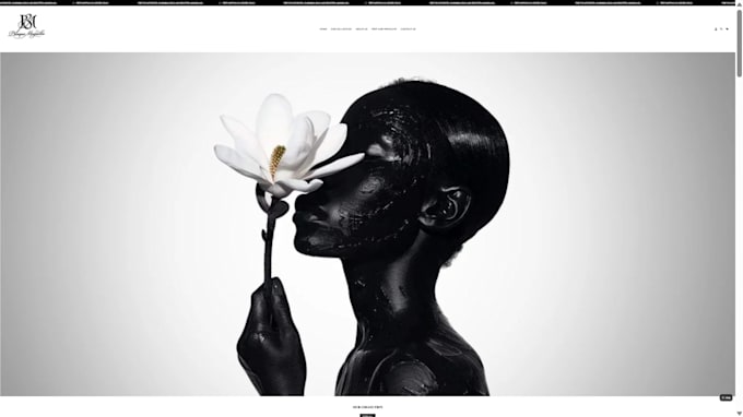 design professional shopify store
