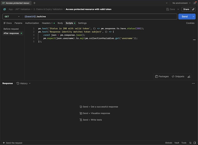 build and test professional postman API collections