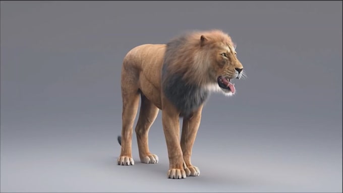 create 3d animal animation, 3d cgi animal, 3d design, animal animation, 3d model