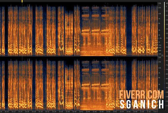 perform professional audio editing or noise reduction
