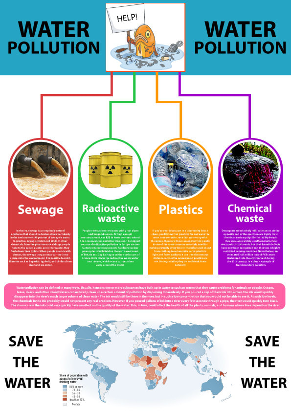 do a professional infographic design