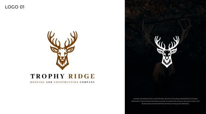 I will do modern high end and minimalist business logo design - Image 9