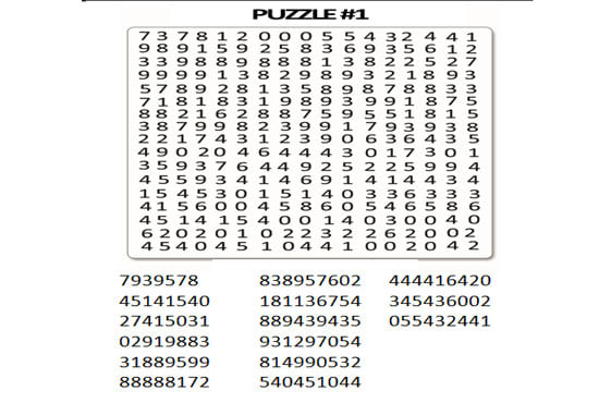 Create fun custom number search puzzle for you by Tarriff178