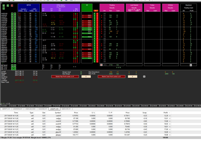 Provide Monthly 20 000 P!   ips Gained Ea In All 28 Pairs - 