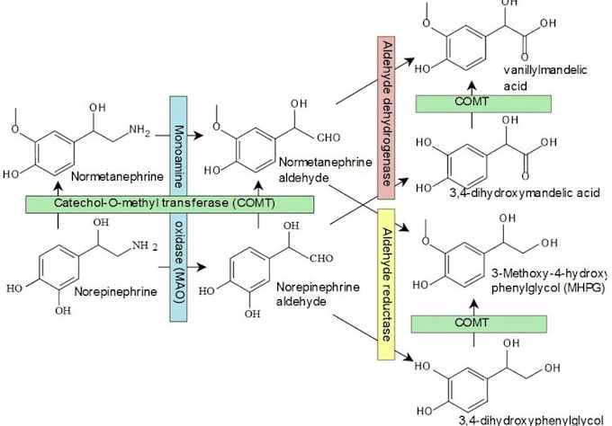 Homework help organic chemistry