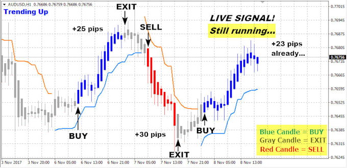 Forex system professional institutional trading suit
