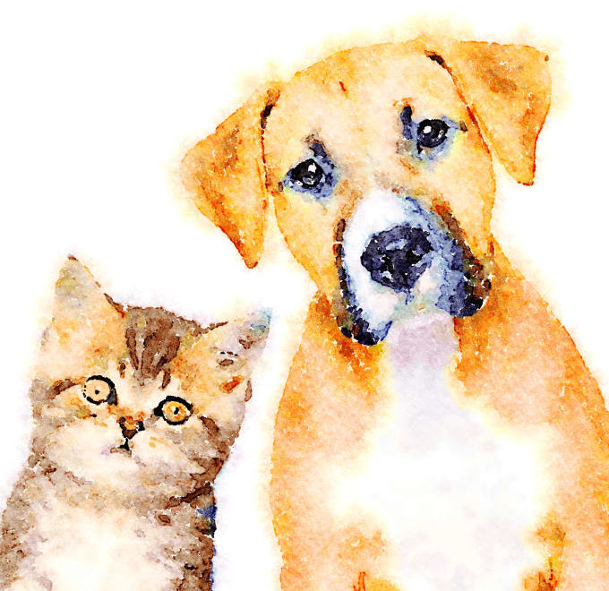 Dog And Cat Drawings Free Vector N Clip Art Are you looking for the best images of cat and dog drawing? dog and cat drawings free vector n