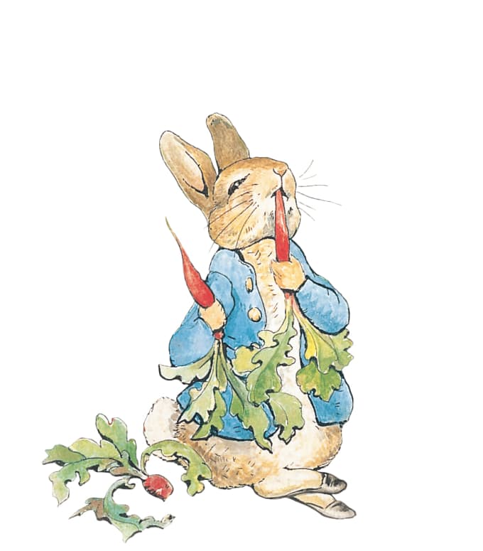 Draw you as a beatrix potter animal of your choice by Puritears