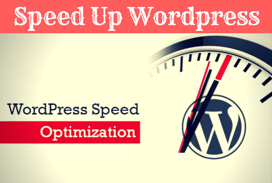 I will do optimize wordpress speed and performance