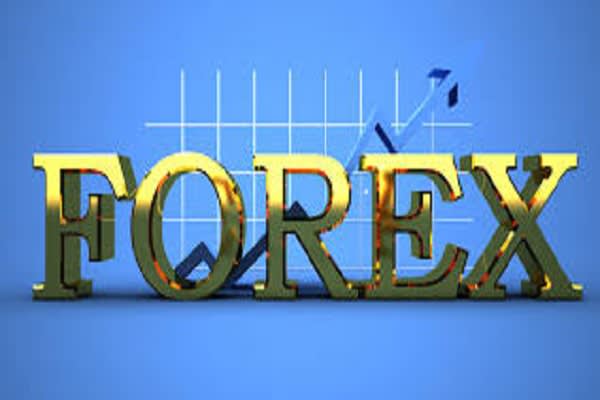 Forex Expert Advisor Ea Which Profits 30 To 50 Usd Daily | Daily forex expert Forex Expert Advisor Ea Which Profits 30 To 50 Usd Daily -