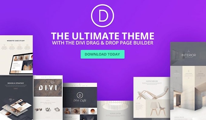 Divi theme_3