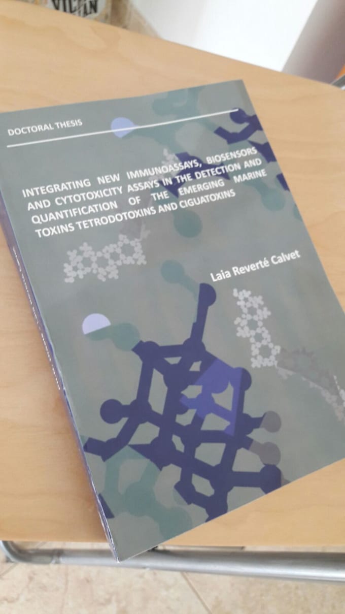 Mit thesis latex template image