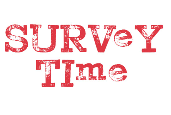 Survey article. Surveytime логотип. Survey time.