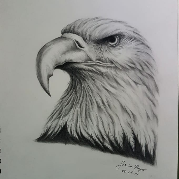 Draw any realistic drawing of any animals,portraits and ...