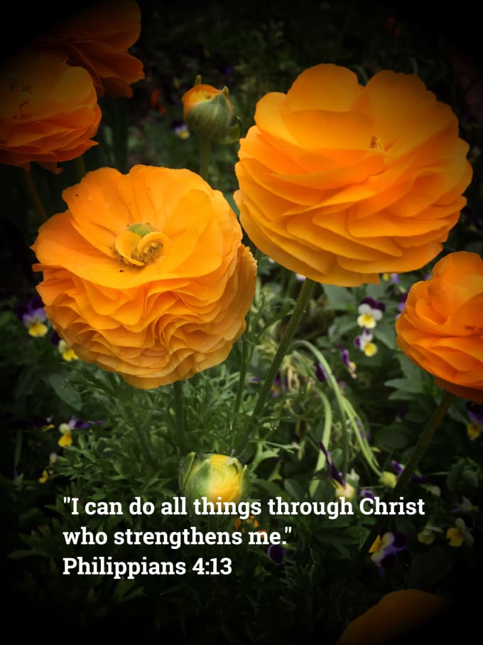 Oasis531 I Will Printing Bible Verses On Flower Photos For Decoration For 10 On Wwwfiverrcom