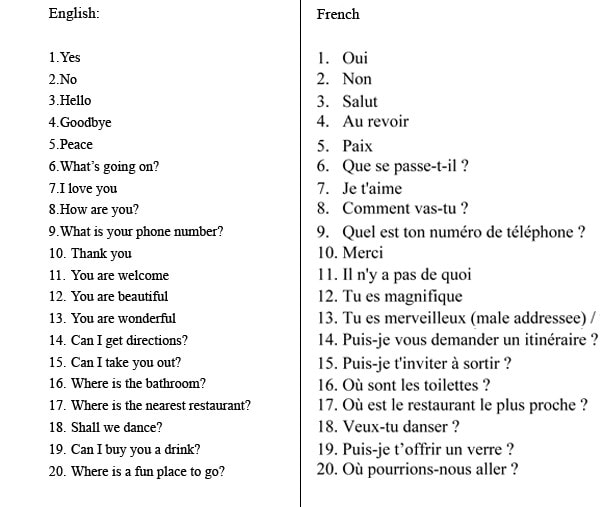 Can translate from english to french by Israelakpan