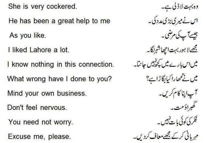 trans late english to urdu